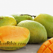 mangga aromanis